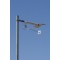 20 Meter Isotron Antenna
